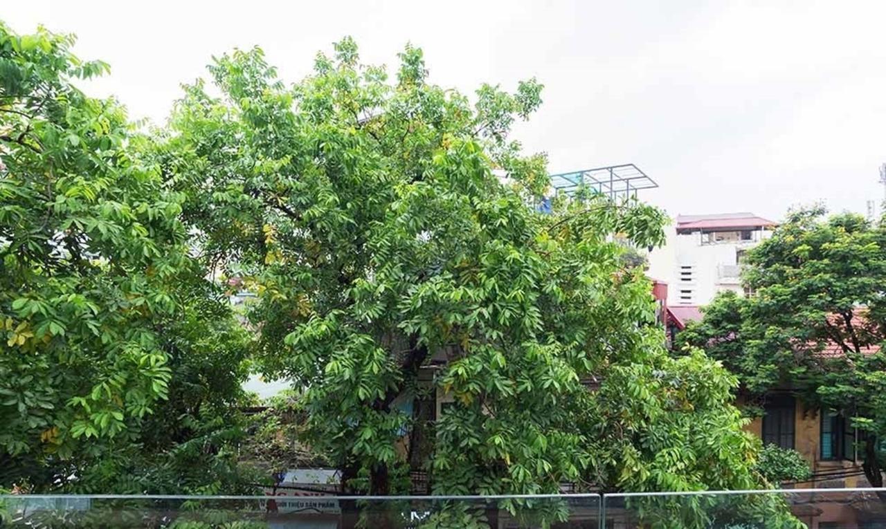 Ali House Apartment Hanoi Exterior photo