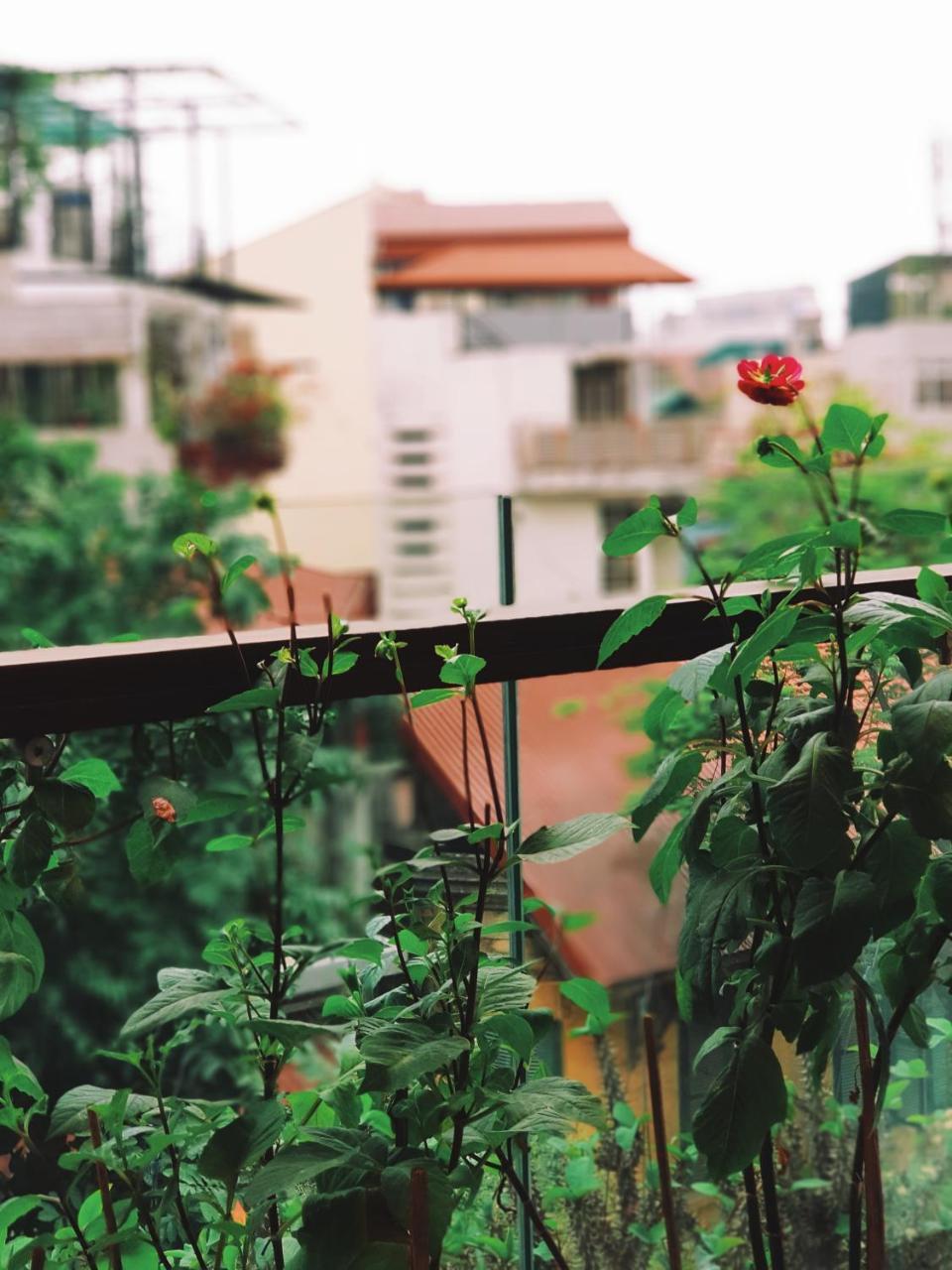 Ali House Apartment Hanoi Exterior photo